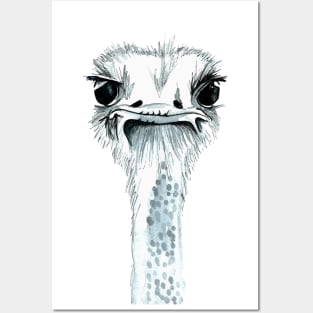Percy the Ostrich Posters and Art
